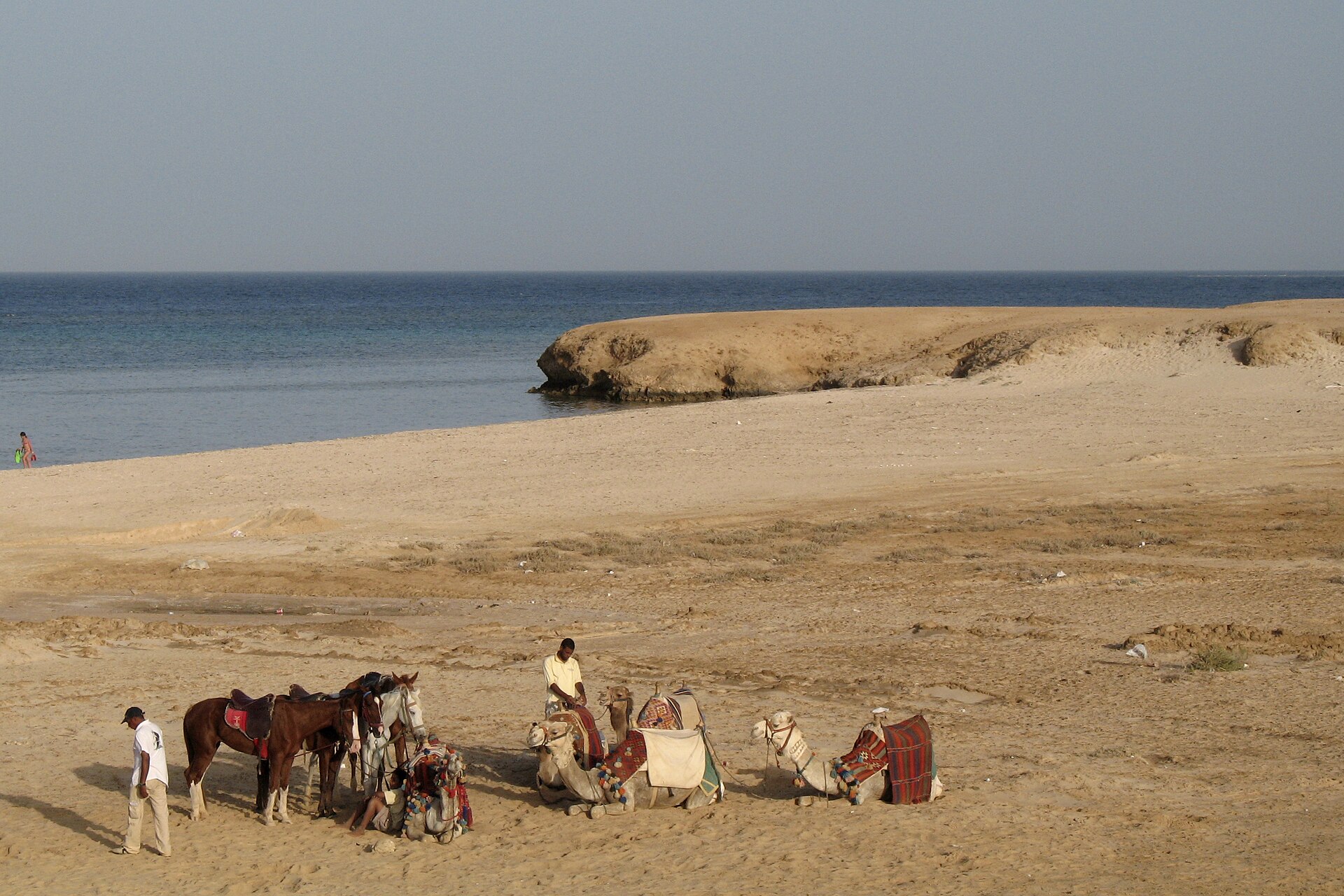 Marsa Alam Holidays Packages