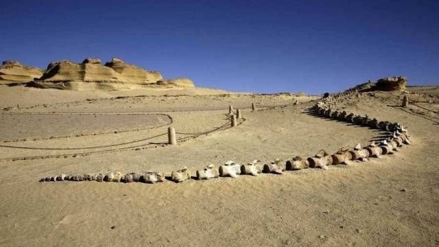 10 day tour package from Sahel Hashesh — photo 15