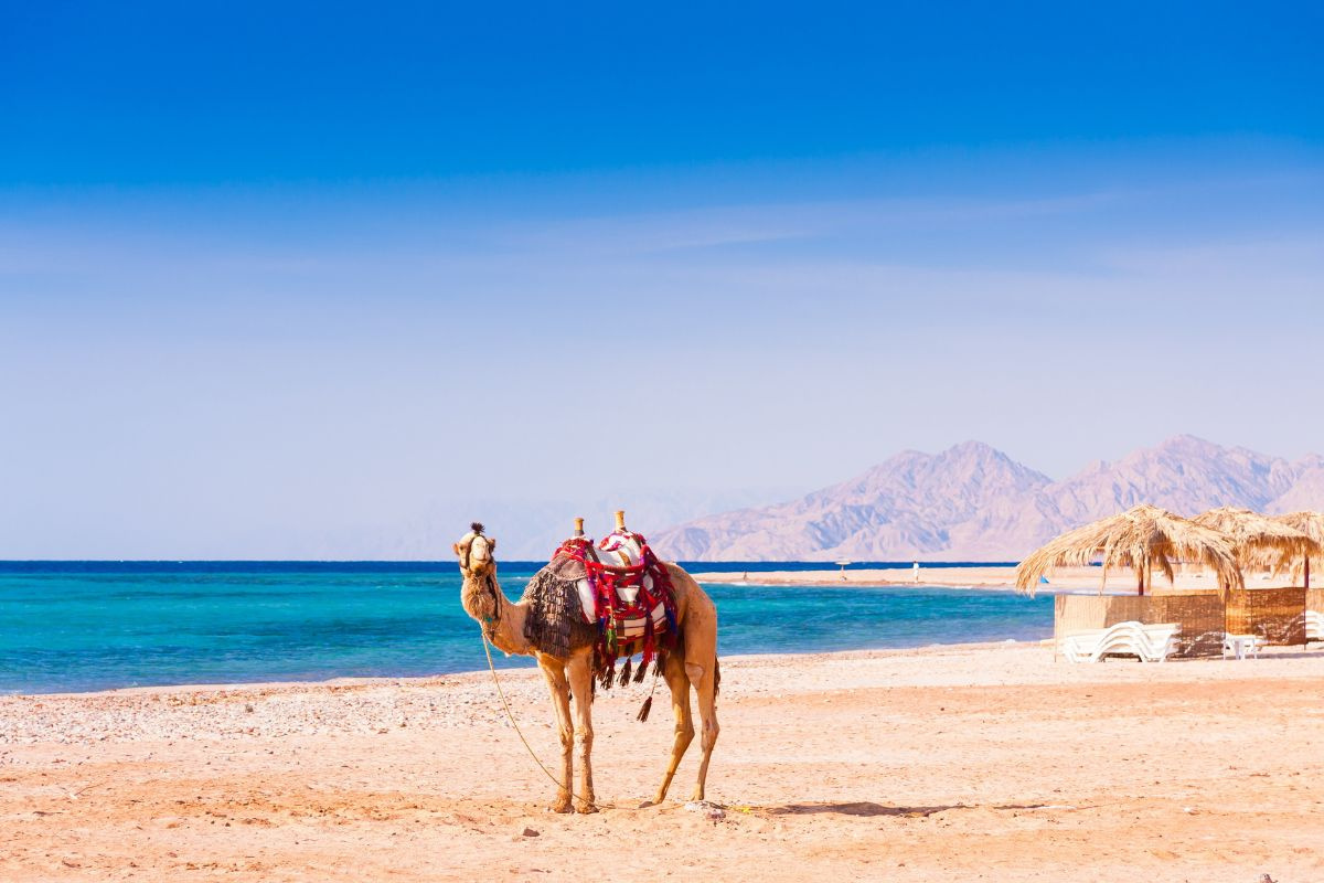14 Days Cairo and Jordan Tour Package — photo 12