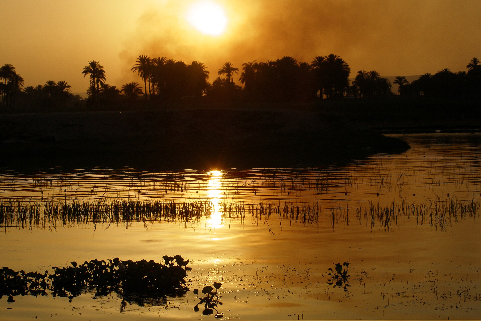 14 days Egypt holiday package — photo 2