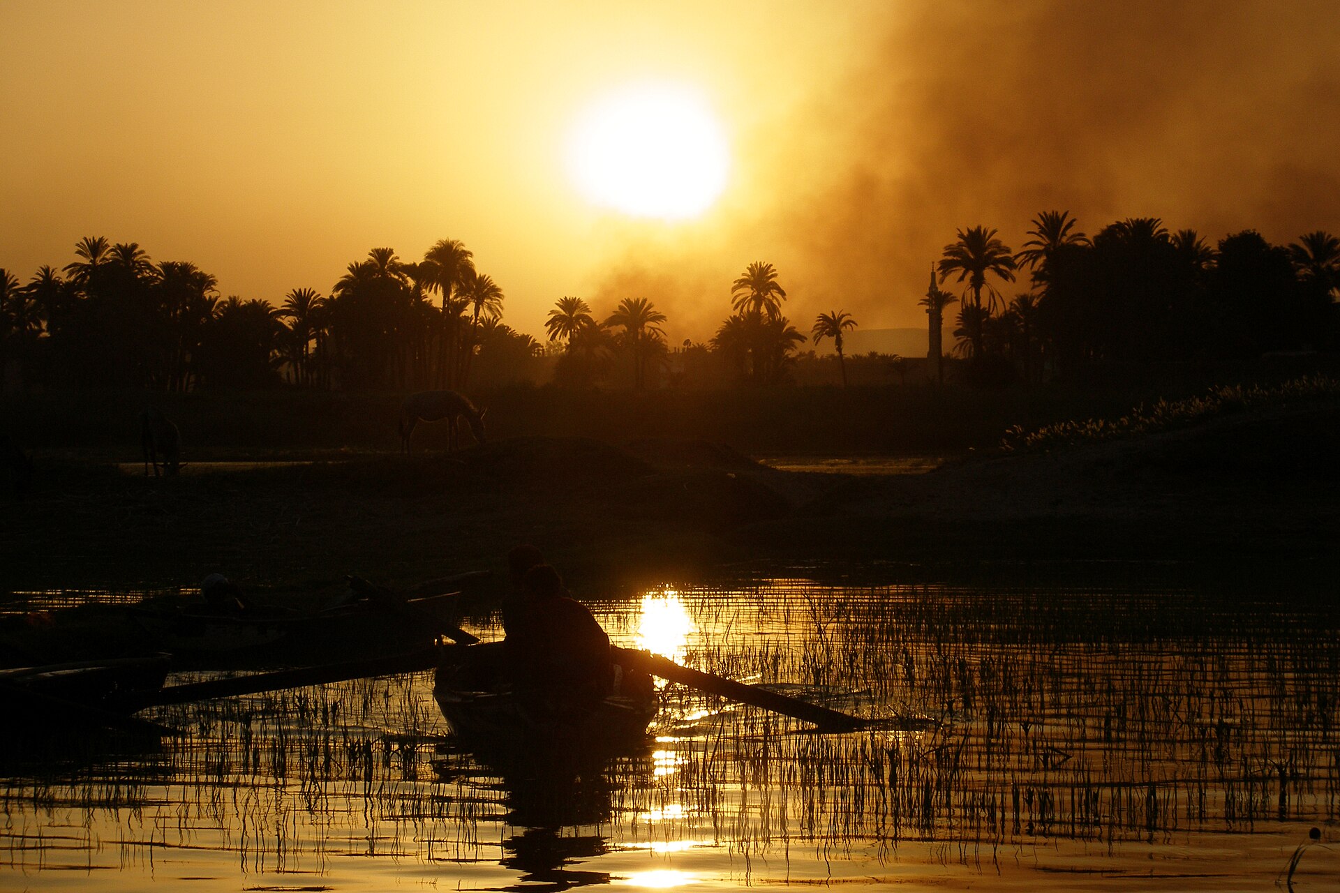 14 days Egypt holiday package — photo 3