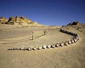 2 Day Camping trip in Fayoum from Cairo