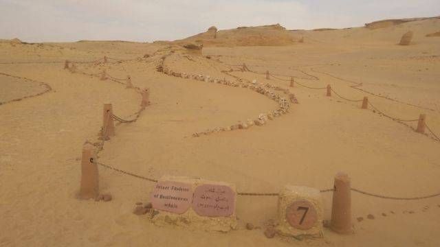 2 Day Camping trip in Fayoum from Cairo — photo 8