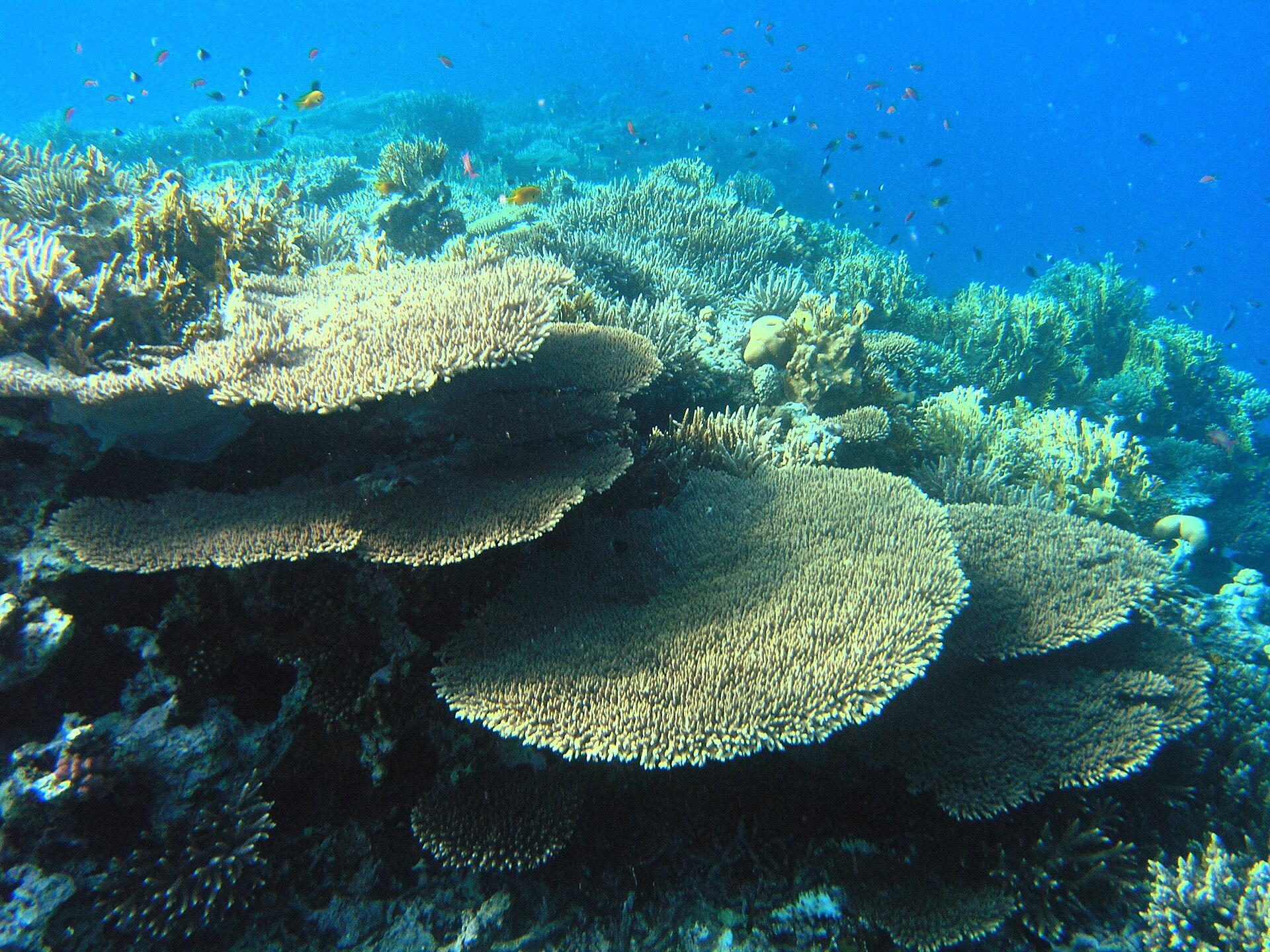 2 day itinerary Marsa Alam from Hurghada — photo 5