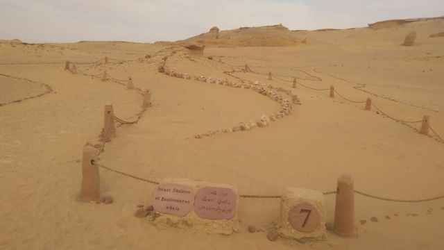 2 Day trip Fayoum oasis and Wadi el Hitan from Alexandria — photo 9
