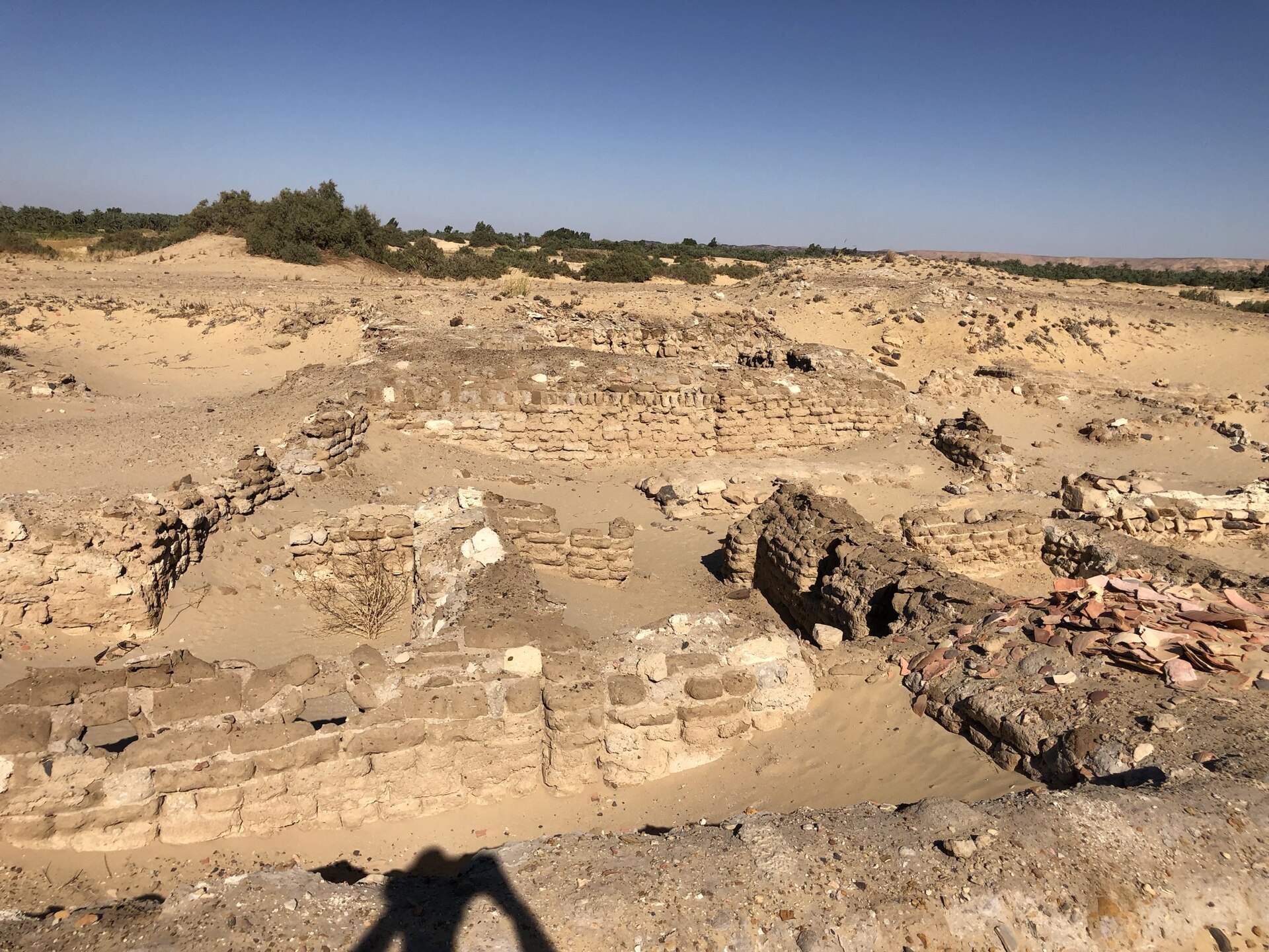 2 Day trip Fayoum oasis and Wadi el Hitan from Hurghada — photo 3