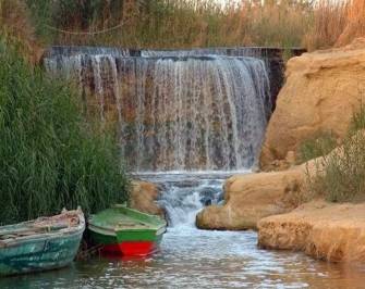 2 Day trip Fayoum oasis and Wadi el Hitan from Sahel Hashesh — photo 2