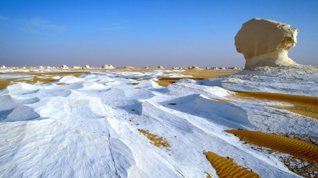 2 day trip to the white desert and wadi el Hitan from Cairo — photo 8