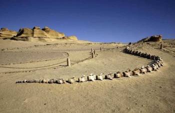 2 days Camping trip to Wadi el Hitan from Cairo — photo 2