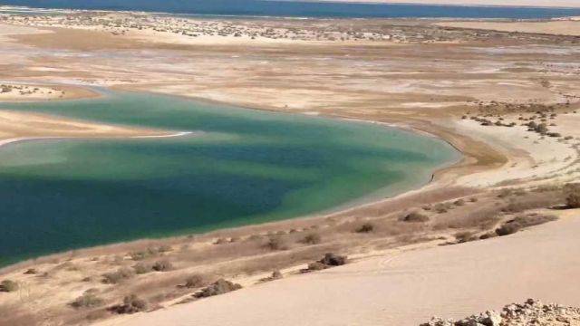 2 days Camping trip to Wadi el Hitan from Cairo — photo 3