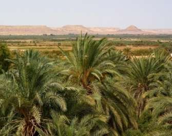 3 Day trip to Bahariya Oasis and white desert from Alexandria — photo 2