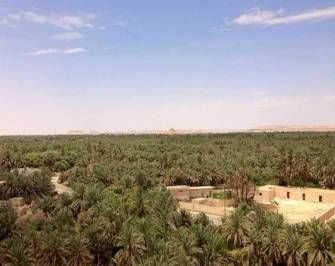3 Day trip to Bahariya Oasis and white desert from luxor — photo 3