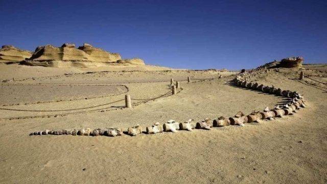 3 Day trip White desert and wadi el Hitan from Luxor — photo 9