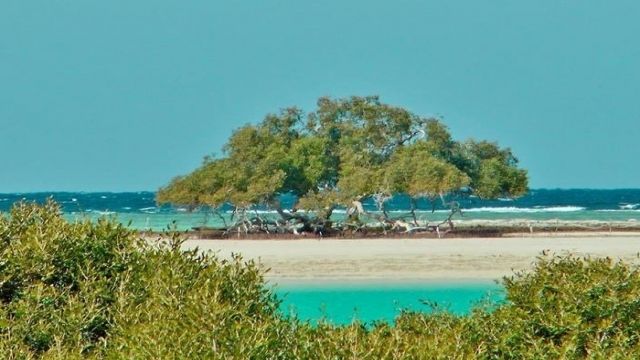 3 Days itinerary Marsa Alam from Sahel Hashesh — photo 7