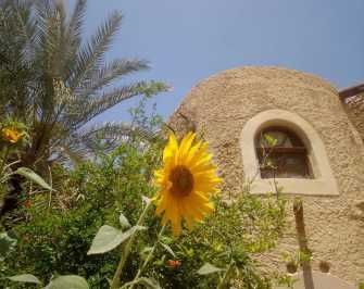 3 days tour Package to siwa oasis from Cairo