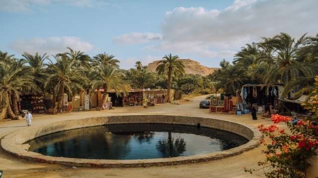3 days Tour Package to Siwa -Summer offer