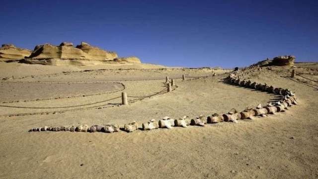 3 Days trip to Cairo and Luxor from Sahel Hashesh — photo 3