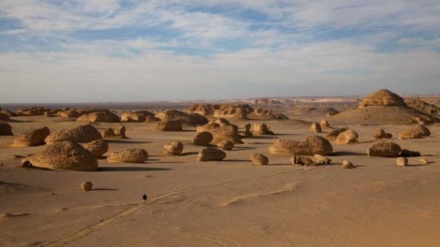 3 Days trip wadi el Hitan and Fayoum Oasis from Cairo — photo 6