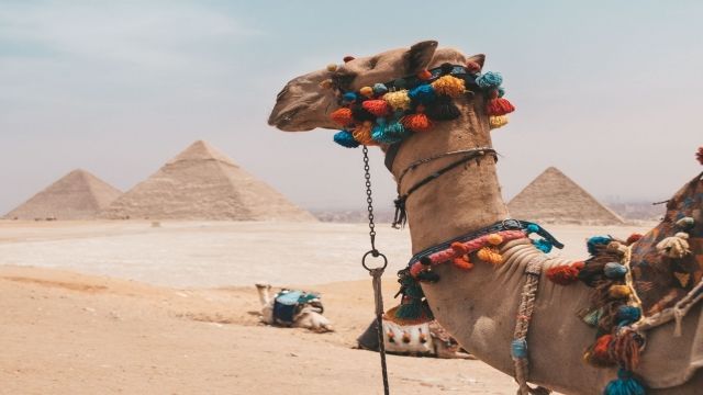 5 Day trip Nile cruise and Cairo from Marsa Alam — photo 6