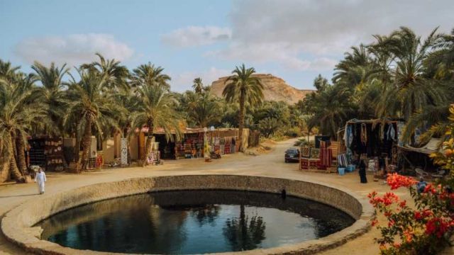 5 Day Trip to Siwa Oasis from Cairo — photo 6