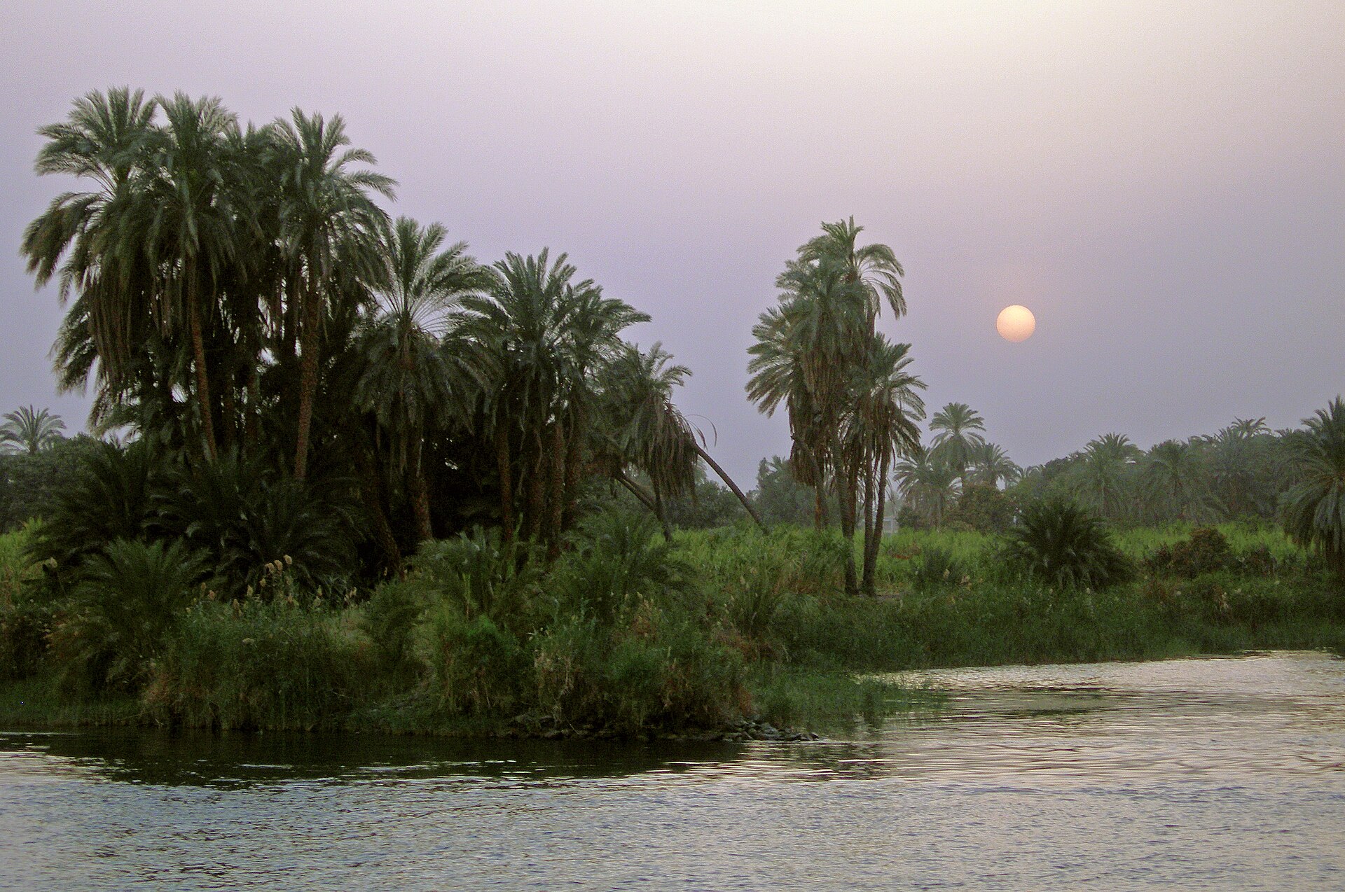 8 Days Cairo and Nile cruise Travel Package — photo 6