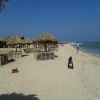 abu dabbab dugong bay El Gouna egypt excursions — photo 2