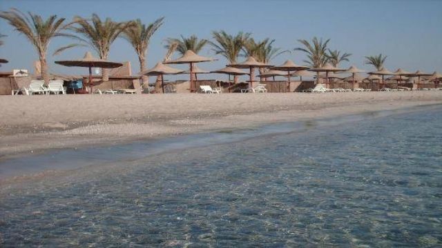 abu dabbab dugong bay hurghada egypt excursions — photo 6