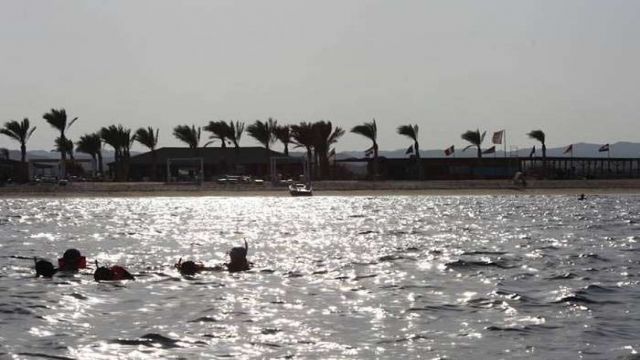 abu dabbab dugong bay Med Red Sea — photo 4