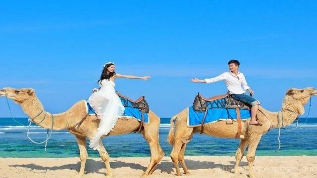 camel riding Portghalib day tour โ photo 3