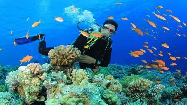 day scuba diving El Gouna Egypt Red Sea — photo 5