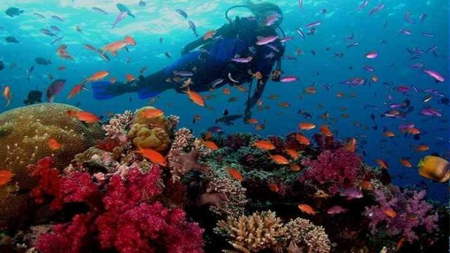 day scuba diving Makadi Egypt Red Sea — photo 3