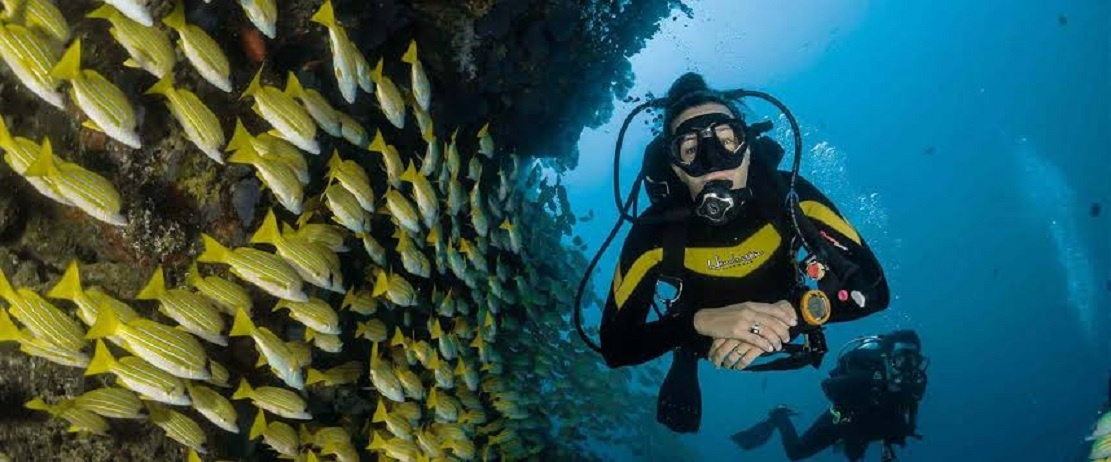 Day Scuba Diving Tour From Sharm EL Sheikh Port — photo 6