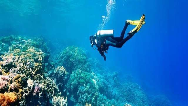Day Scuba Diving Tour From Sharm EL Sheikh — photo 5