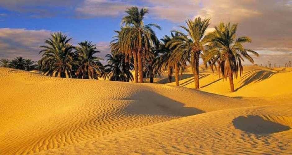 Day tour to Fayoum Oasis from Cairo — photo 2