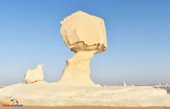 Day trip to Bahariya Oasis and white desert from Cairo — photo 2