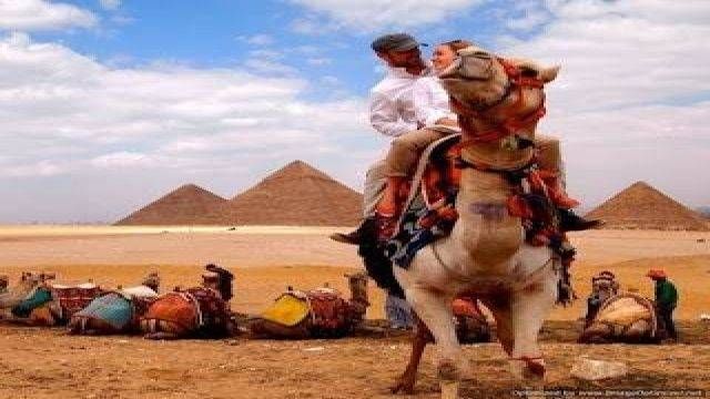 Day trip to Giza Pyramids and Sakkara from Hurghada — photo 6