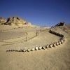 Day trip to Wadi Al Hitan and Fayoum Oasis from Sahel Hashesh — photo 2