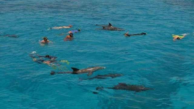 Dolphin house boat snorkeling excursion from Hurghada — photo 5