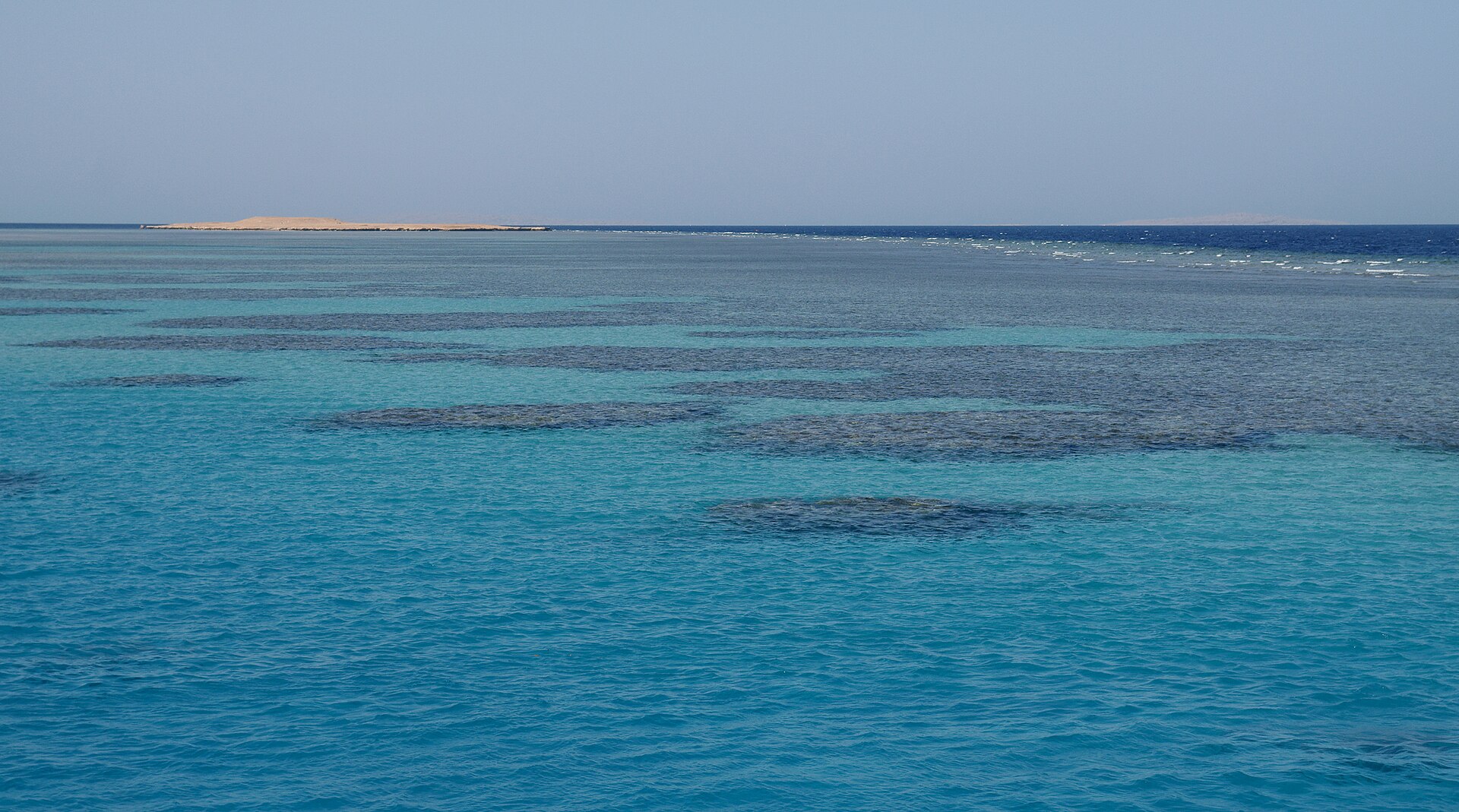 Find the Dugong in Marsa Alam by Speed Boat