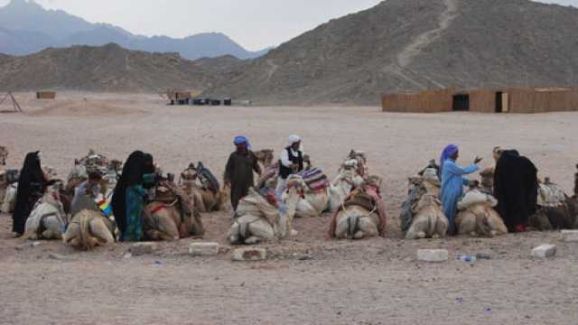 Hurghada Desert Sunset Safari Trip By Quad Bike — photo 5