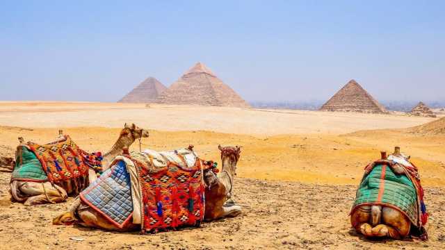 Overnight trip to Cairo from El Quseir by flight — photo 9