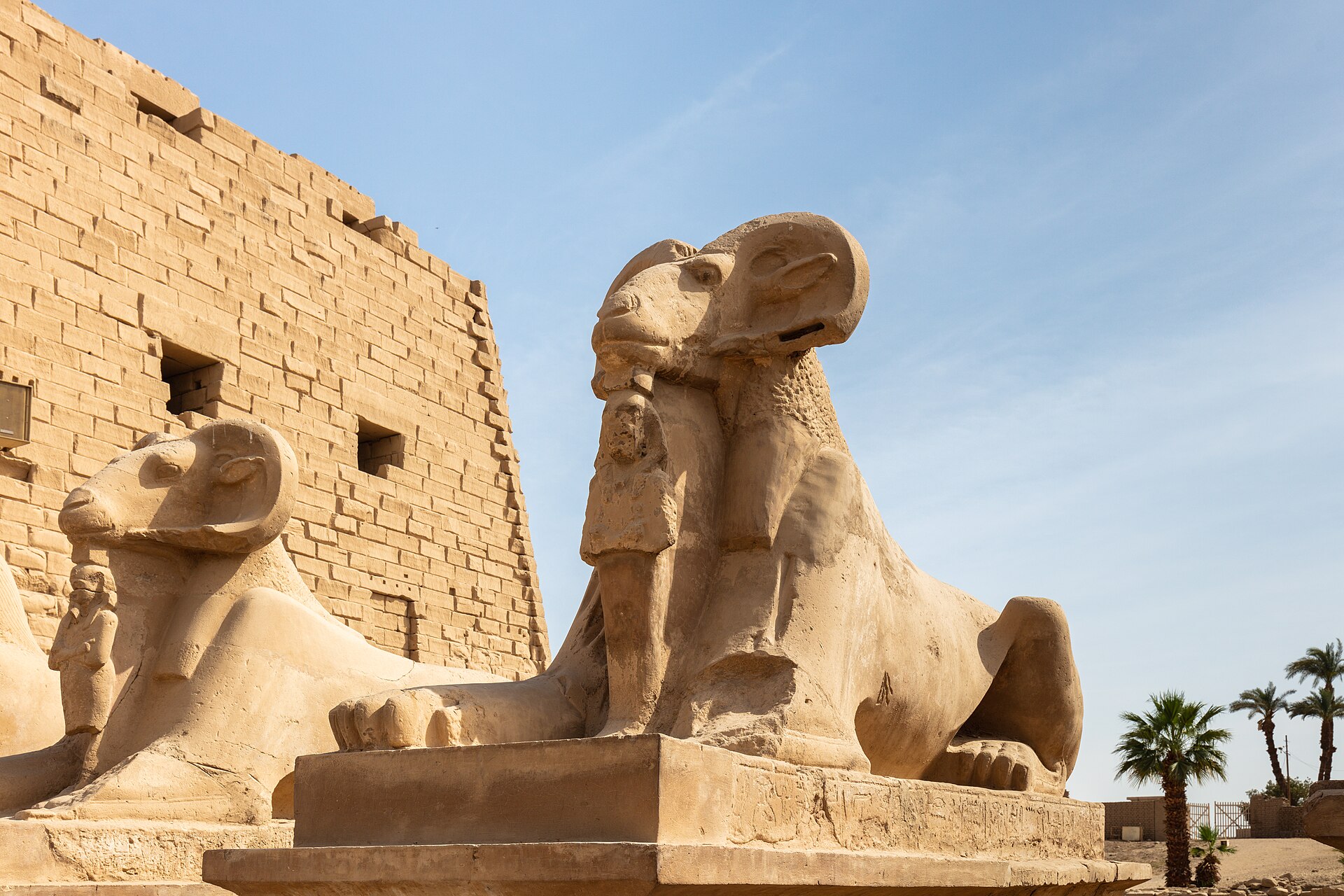 Overnight trip to Luxor with Dendera and Abydos — photo 5