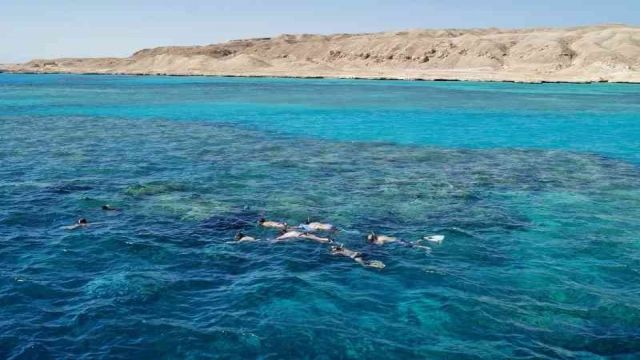 Paradise Island Snorkeling trip Full Day from Sahel Hashesh — photo 3