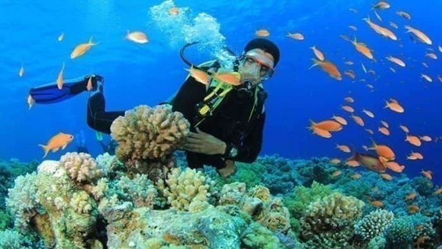 Portghalib diving trip from El Quseir — photo 5