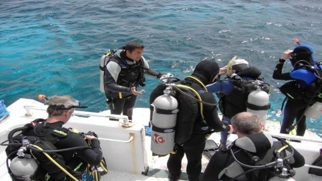 Portghalib diving trip from El Quseir — photo 6