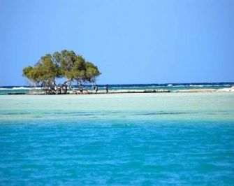 Portghalib tours to sharm el luli snorkeling tours
