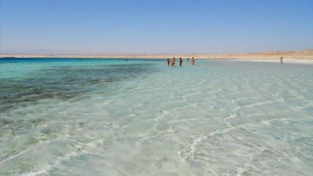 Portghalib tours to sharm el luli snorkeling tours โ photo 2