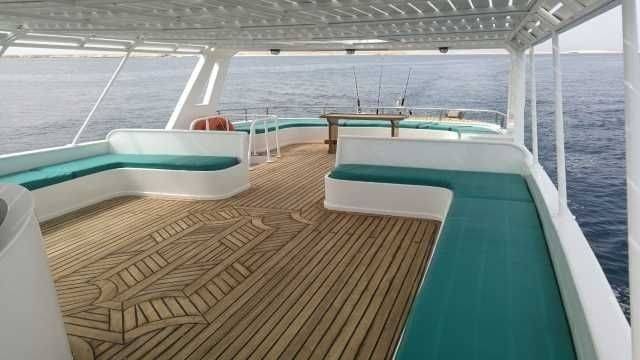 Private Boat Trip to the dolphin house from Hurghada — photo 6