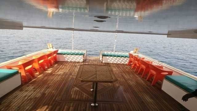 Private Boat Trip to the dolphin house from Makadi — photo 4