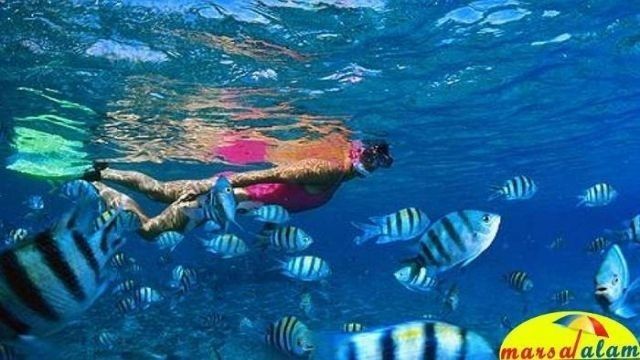 Private boat trip to the Dolphin house from Marsa Alam — photo 3